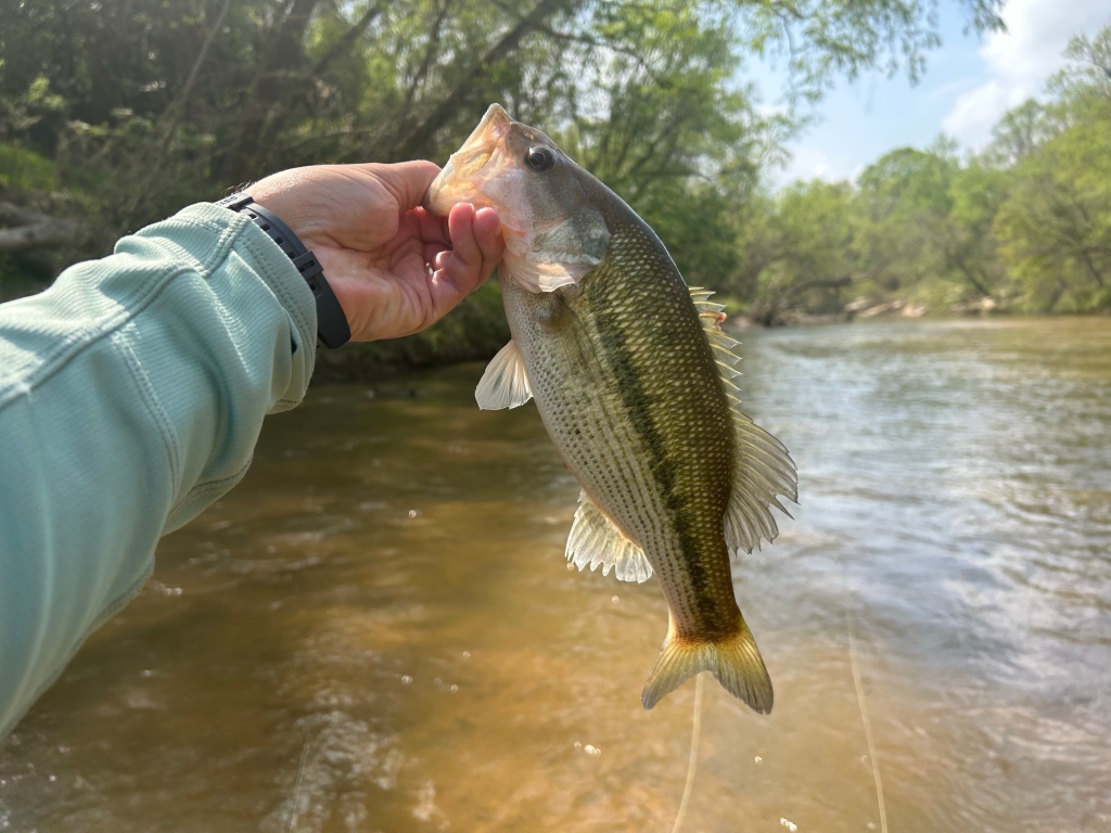 On the Fly: One Less Tangle - Fightmaster Fly Fishing
