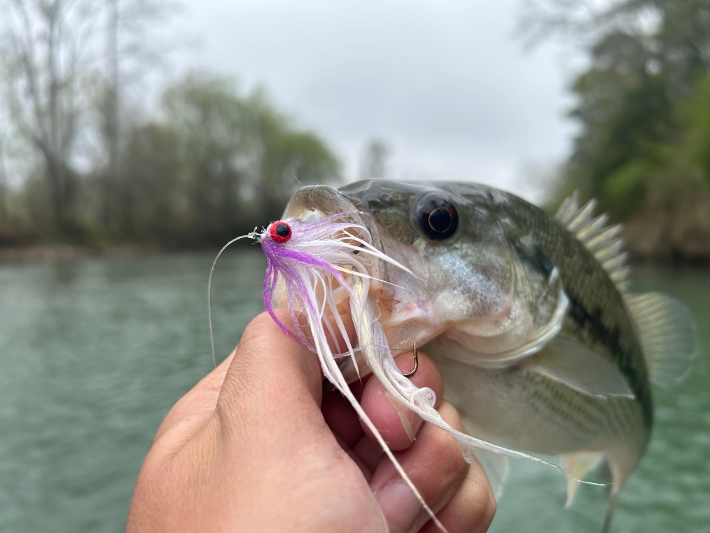 2023 RSFF Coldwater Trip to Arkansas – Down South Fly Fishing
